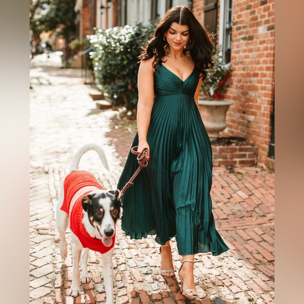 Abercrombie pleated midi dress